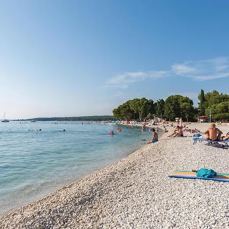 Pet Friendly In Sveti Kirin Juršići
